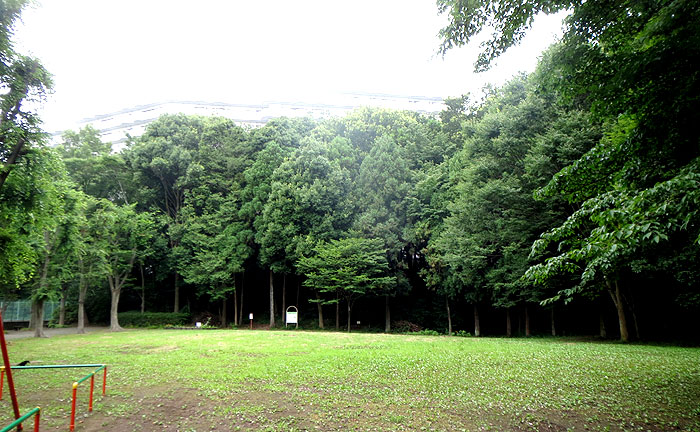 大貫谷公園