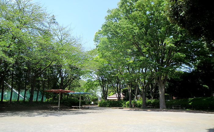 いずみ台公園