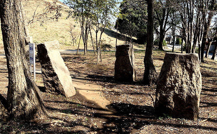 川和富士公園