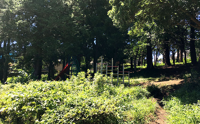 希望が丘ふれあいの森公園