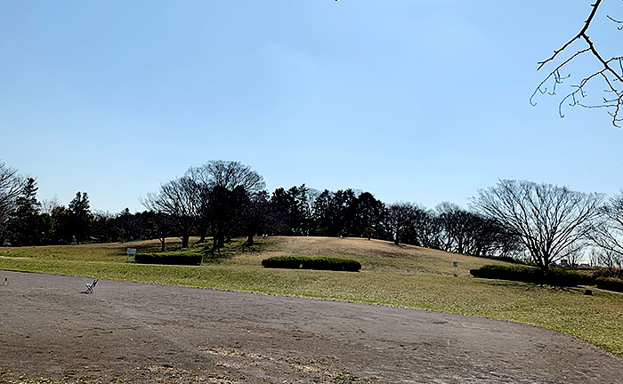 月出松公園