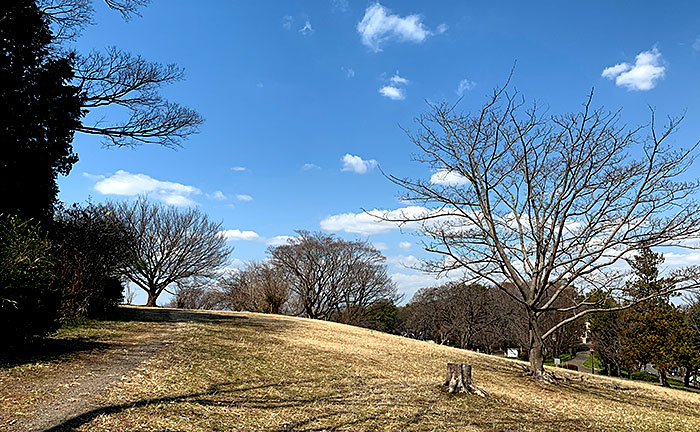 月出松公園