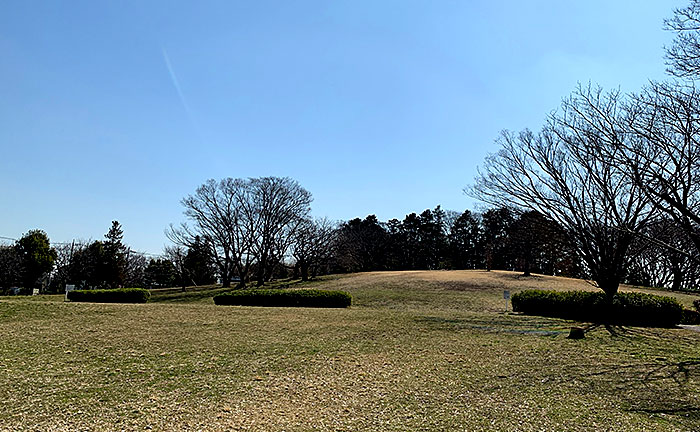 月出松公園